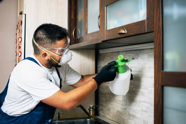 Best Pest Removal Services  in Red Bank, TN