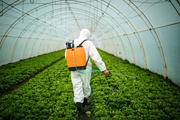 Pest Control Cost in Red Bank, TN