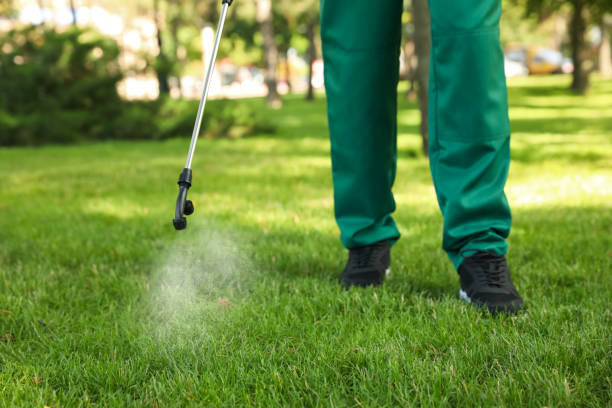 Professional Pest Control in Red Bank, TN