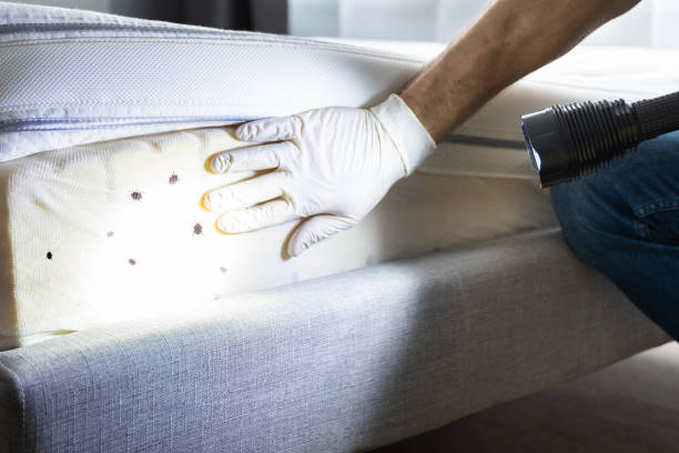 Best Local Pest Control Services  in Red Bank, TN